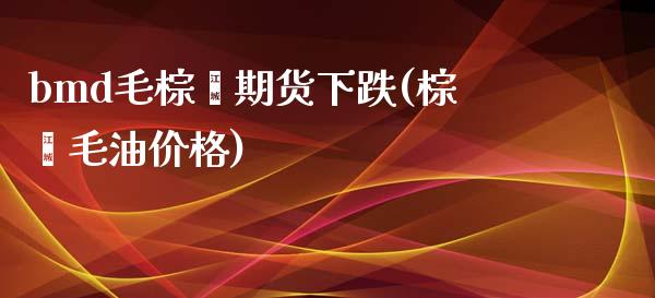 bmd毛棕榈期货下跌(棕榈毛油价格)_https://www.yunyouns.com_期货直播_第1张