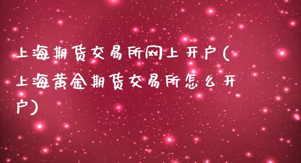 上海期货交易所网上开户(上海黄金期货交易所怎么开户)_https://www.yunyouns.com_股指期货_第1张