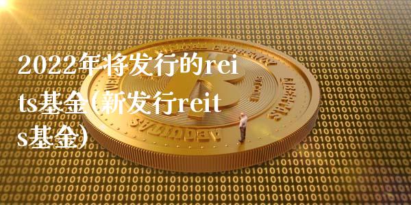 2022年将发行的reits基金(新发行reits基金)_https://www.yunyouns.com_期货直播_第1张