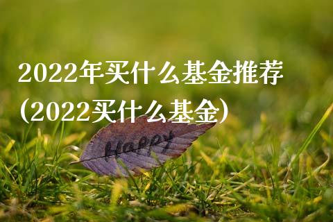 2022年买什么基金推荐(2022买什么基金)_https://www.yunyouns.com_恒生指数_第1张