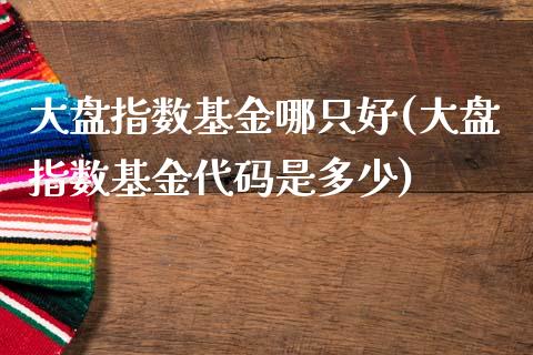 大盘指数基金哪只好(大盘指数基金代码是多少)_https://www.yunyouns.com_股指期货_第1张