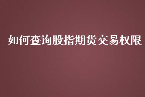 如何查询股指期货交易权限_https://www.yunyouns.com_期货直播_第1张