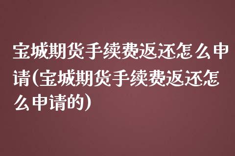 宝城期货手续费返还怎么申请(宝城期货手续费返还怎么申请的)_https://www.yunyouns.com_恒生指数_第1张