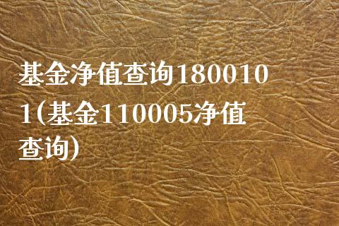 基金净值查询1800101(基金110005净值查询)_https://www.yunyouns.com_期货直播_第1张