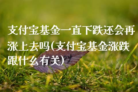 支付宝基金一直下跌还会再涨上去吗(支付宝基金涨跌跟什么有关)_https://www.yunyouns.com_股指期货_第1张