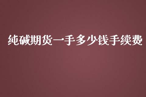 纯碱期货一手多少钱手续费_https://www.yunyouns.com_恒生指数_第1张