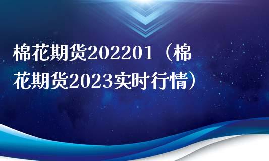 棉花期货202201（棉花期货2023实时行情）_https://www.yunyouns.com_期货行情_第1张