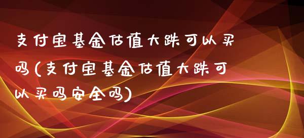 支付宝基金估值大跌可以买吗(支付宝基金估值大跌可以买吗安全吗)_https://www.yunyouns.com_期货直播_第1张