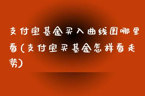 支付宝基金买入曲线图哪里看(支付宝买基金怎样看走势)_https://www.yunyouns.com_期货直播_第1张