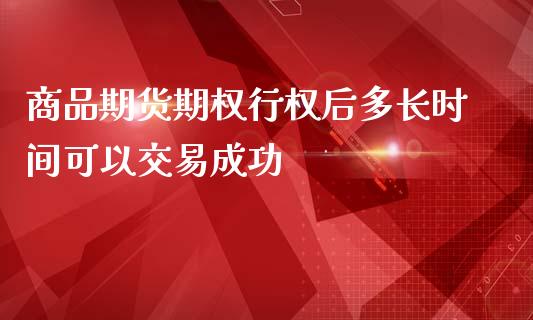 商品期货期权行权后多长时间可以交易成功_https://www.yunyouns.com_恒生指数_第1张