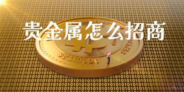 贵金属怎么招商_https://www.yunyouns.com_恒生指数_第1张