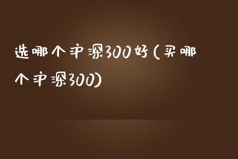 选哪个沪深300好(买哪个沪深300)_https://www.yunyouns.com_期货行情_第1张