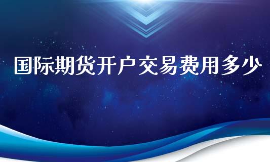 国际期货开户交易费用多少_https://www.yunyouns.com_期货直播_第1张