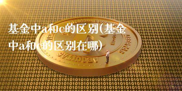 基金中a和c的区别(基金中a和c的区别在哪)_https://www.yunyouns.com_期货直播_第1张