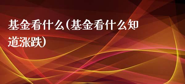 基金看什么(基金看什么知道涨跌)_https://www.yunyouns.com_恒生指数_第1张