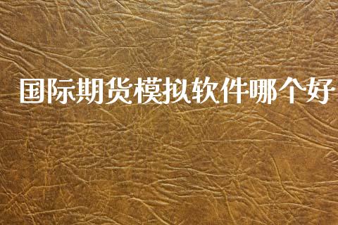 国际期货模拟软件哪个好_https://www.yunyouns.com_股指期货_第1张