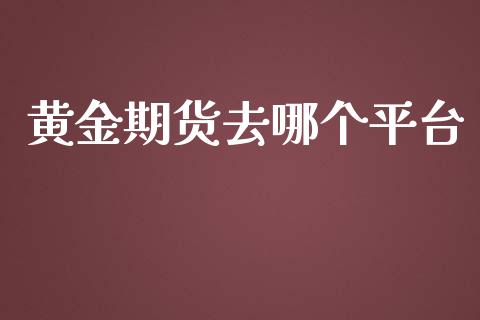 黄金期货去哪个平台_https://www.yunyouns.com_股指期货_第1张