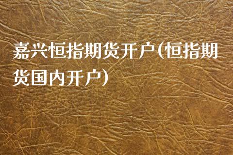 嘉兴恒指期货开户(恒指期货国内开户)_https://www.yunyouns.com_恒生指数_第1张