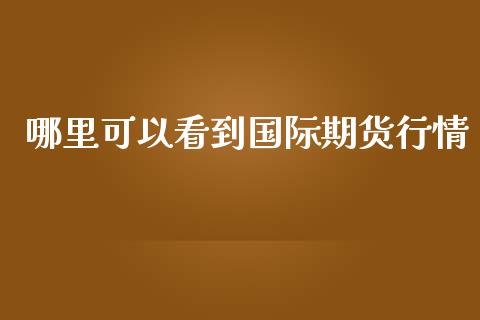 哪里可以看到国际期货行情_https://www.yunyouns.com_恒生指数_第1张