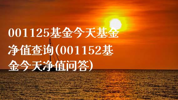 001125基金今天基金净值查询(001152基金今天净值问答)_https://www.yunyouns.com_期货行情_第1张