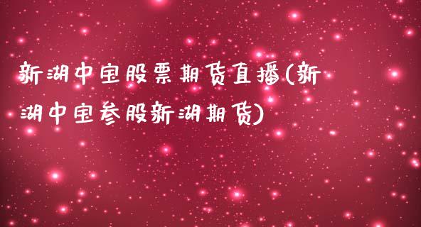 新湖中宝股票期货直播(新湖中宝参股新湖期货)_https://www.yunyouns.com_期货直播_第1张