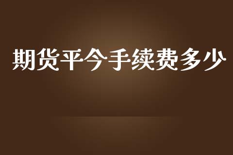 期货平今手续费多少_https://www.yunyouns.com_恒生指数_第1张