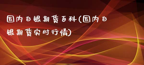 国内白银期货百科(国内白银期货实时行情)_https://www.yunyouns.com_期货直播_第1张