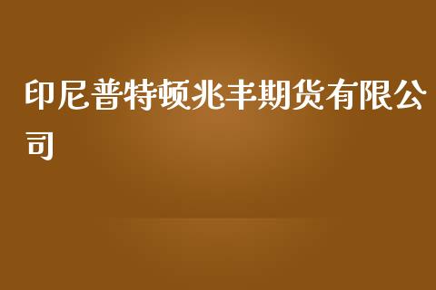 印尼普特顿兆丰期货有限公司_https://www.yunyouns.com_期货行情_第1张