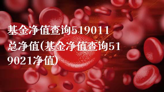 基金净值查询519011总净值(基金净值查询519021净值)_https://www.yunyouns.com_期货直播_第1张