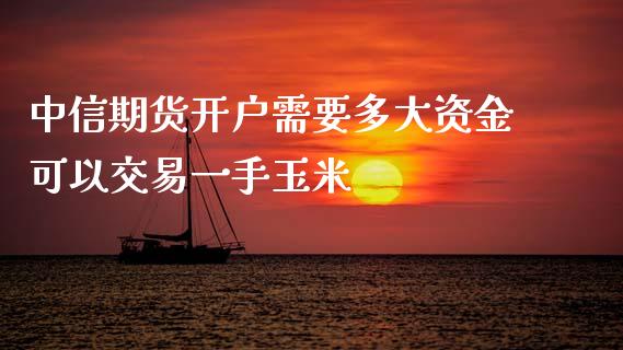 中信期货开户需要多大资金可以交易一手玉米_https://www.yunyouns.com_股指期货_第1张