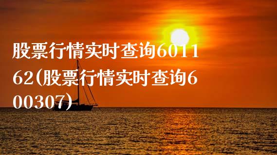 股票行情实时查询601162(股票行情实时查询600307)_https://www.yunyouns.com_股指期货_第1张