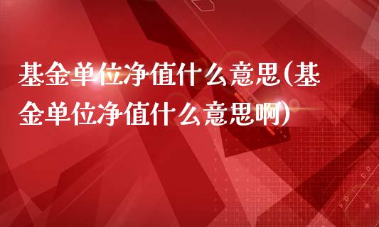 基金单位净值什么意思(基金单位净值什么意思啊)_https://www.yunyouns.com_恒生指数_第1张