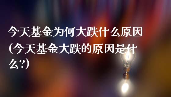 今天基金为何大跌什么原因(今天基金大跌的原因是什么?)_https://www.yunyouns.com_恒生指数_第1张