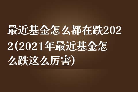 最近基金怎么都在跌2022(2021年最近基金怎么跌这么厉害)_https://www.yunyouns.com_恒生指数_第1张