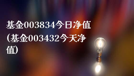 基金003834今日净值(基金003432今天净值)_https://www.yunyouns.com_期货直播_第1张