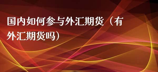 国内如何参与外汇期货（有外汇期货吗）_https://www.yunyouns.com_期货行情_第1张