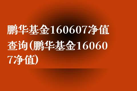 鹏华基金160607净值查询(鹏华基金160607净值)_https://www.yunyouns.com_股指期货_第1张