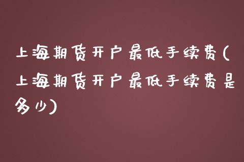 上海期货开户最低手续费(上海期货开户最低手续费是多少)_https://www.yunyouns.com_期货行情_第1张