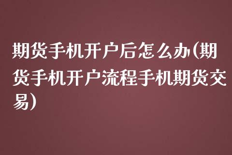 期货手机开户后怎么办(期货手机开户流程手机期货交易)_https://www.yunyouns.com_期货行情_第1张