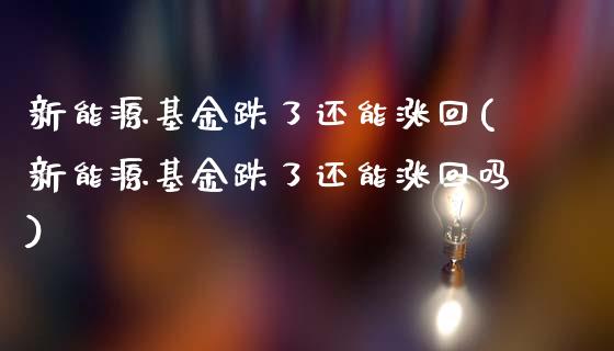 新能源基金跌了还能涨回(新能源基金跌了还能涨回吗)_https://www.yunyouns.com_期货行情_第1张