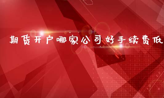 期货开户哪家公司好手续费低_https://www.yunyouns.com_期货直播_第1张