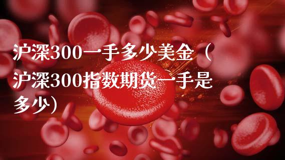 沪深300一手多少美金（沪深300指数期货一手是多少）_https://www.yunyouns.com_恒生指数_第1张