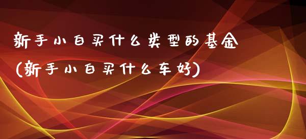 新手小白买什么类型的基金(新手小白买什么车好)_https://www.yunyouns.com_股指期货_第1张