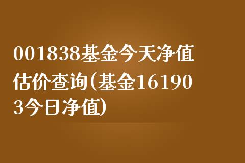 001838基金今天净值估价查询(基金161903今日净值)_https://www.yunyouns.com_恒生指数_第1张