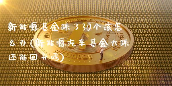 新能源基金跌了30个该怎么办(新能源汽车基金大跌还能回升吗)_https://www.yunyouns.com_期货直播_第1张