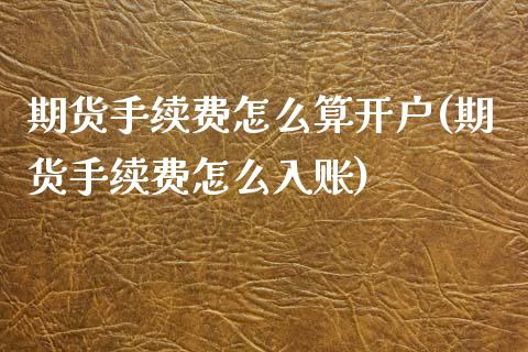 期货手续费怎么算开户(期货手续费怎么入账)_https://www.yunyouns.com_股指期货_第1张