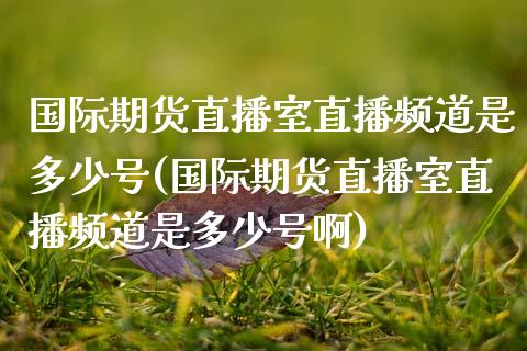 国际期货直播室直播频道是多少号(国际期货直播室直播频道是多少号啊)_https://www.yunyouns.com_恒生指数_第1张