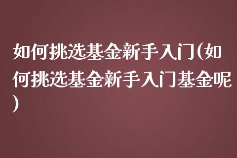 如何挑选基金新手入门(如何挑选基金新手入门基金呢)_https://www.yunyouns.com_股指期货_第1张