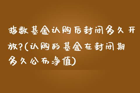 指数基金认购后封闭多久开放?(认购的基金在封闭期多久公布净值)_https://www.yunyouns.com_期货行情_第1张