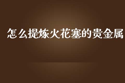 怎么提炼火花塞的贵金属_https://www.yunyouns.com_期货行情_第1张